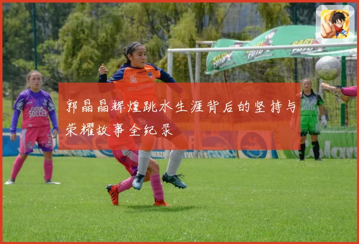 郭晶晶辉煌跳水生涯背后的坚持与荣耀故事全纪录