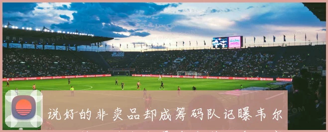 说好的非卖品却成筹码队记曝韦尔已成热火重点交易资产引发争议赛场复盘