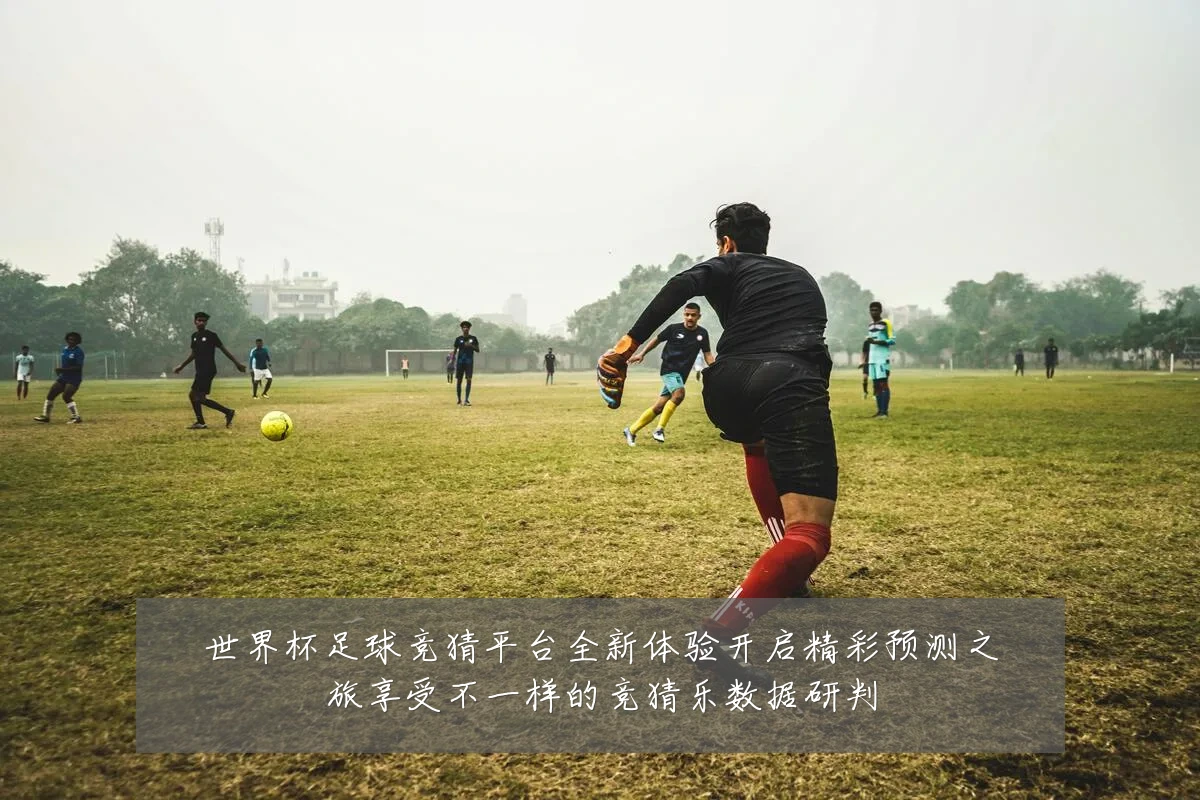 世界杯足球竞猜平台全新体验开启精彩预测之旅享受不一样的竞猜乐数据研判